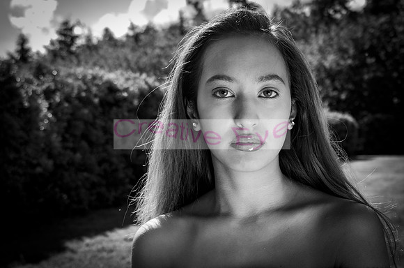 Alice003