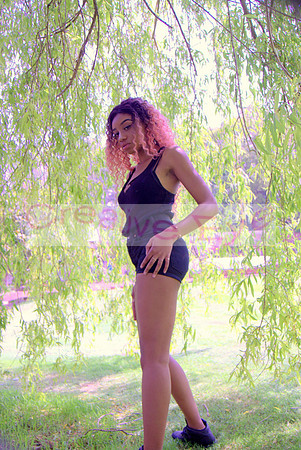 DSC04844
