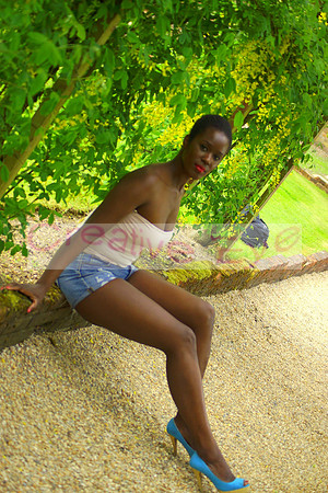 DSC05093(1)