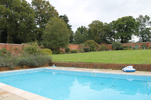 dorking0256