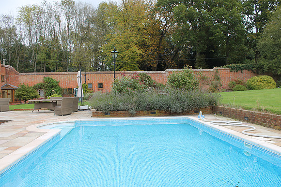dorking0257