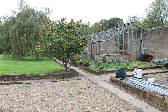 dorking0253