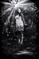 850_2650 copy