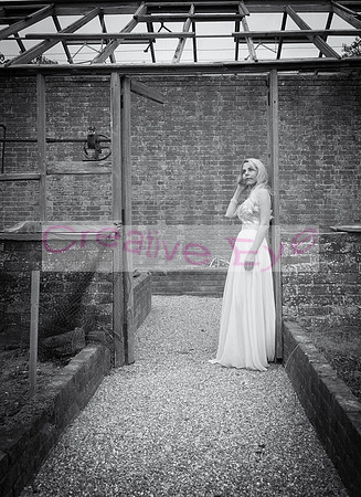 P5068727-Edit-Edit