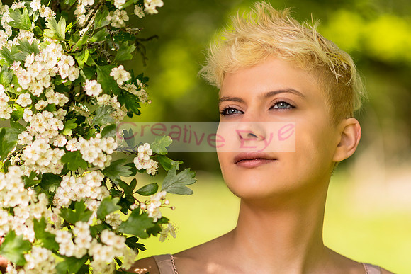 850_2551 copy