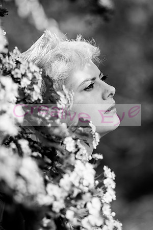 850_2545 copy
