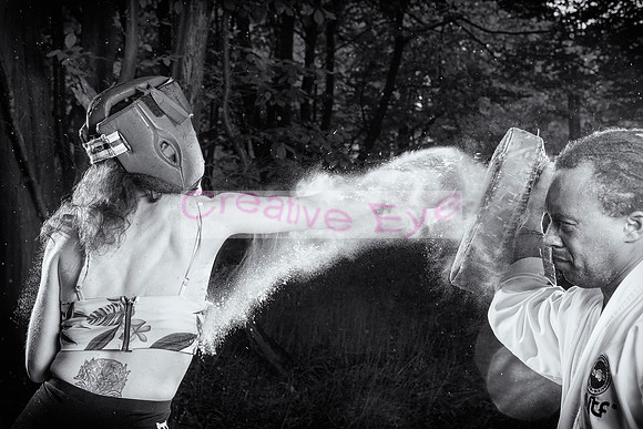 850_2590 copy
