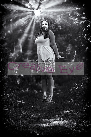 850_2650 copy