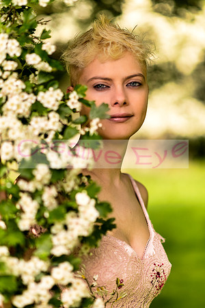 850_2555 copy