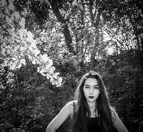 Jess011