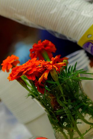 DSC066431