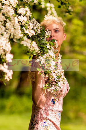 850_2546 copy