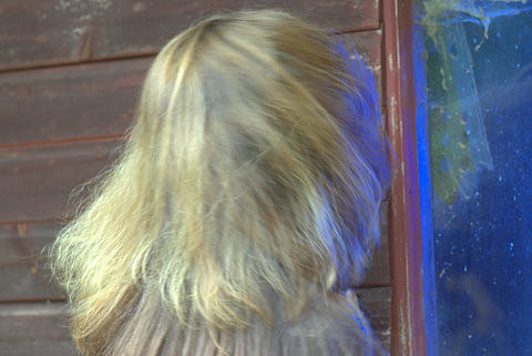 DSC06438