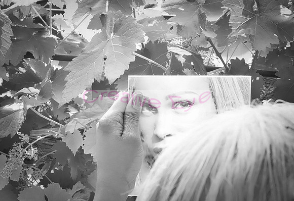 P5068012-Edit-Edit