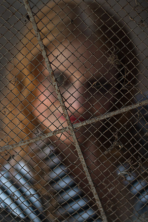 IMG_0092