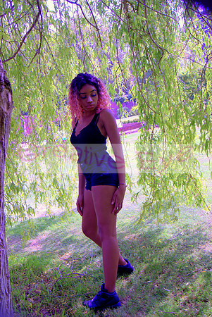 DSC04847