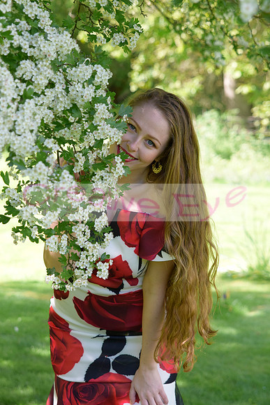 _DSC0744
