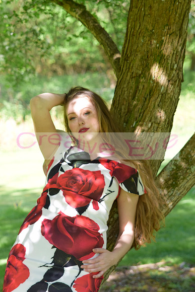 _DSC0737