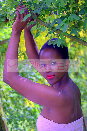 DSC05084