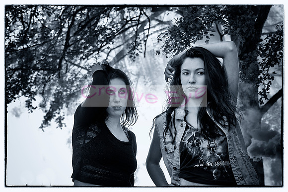 _ROB6642 copy