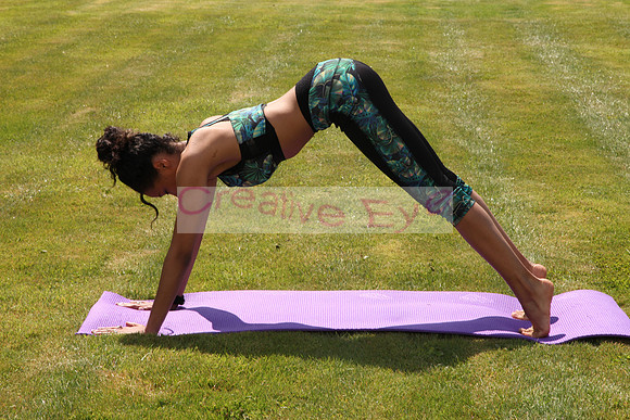 Yoga (4)