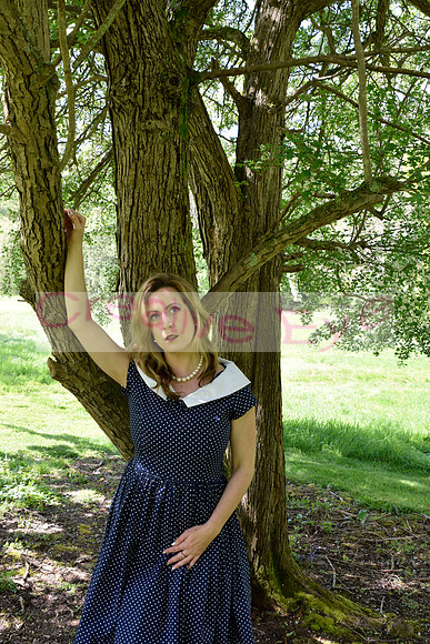 _DSC0527