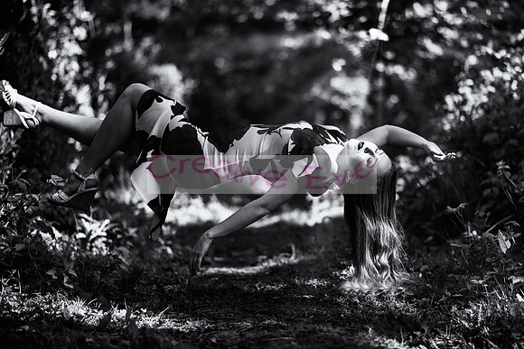 850_2621 copy