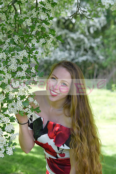 _DSC0748