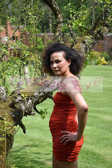 DSC_0349
