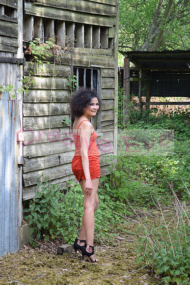 DSC_0399