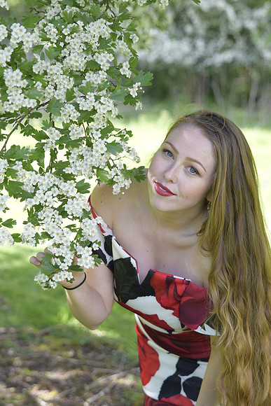 _DSC0746