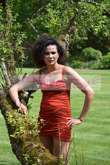 DSC_0351