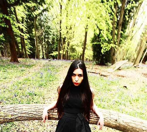IMG_4113a