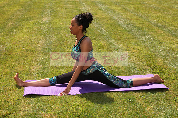 Yoga (20)
