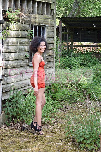 DSC_0397