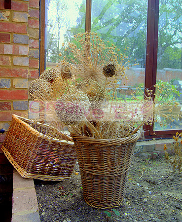 DSC04820