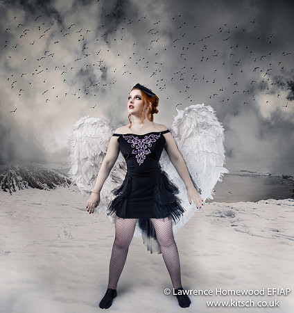Swan Lake Murmuration pdi