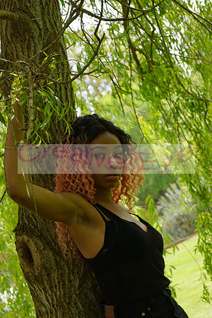 DSC04856(1)