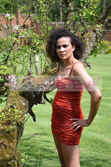 DSC_0350