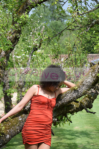 DSC_0344