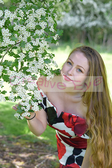 _DSC0746