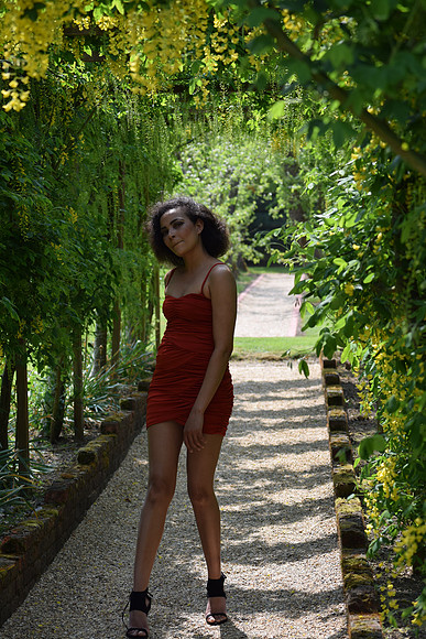 DSC_0328