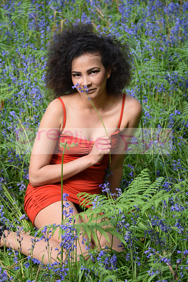 DSC_0378