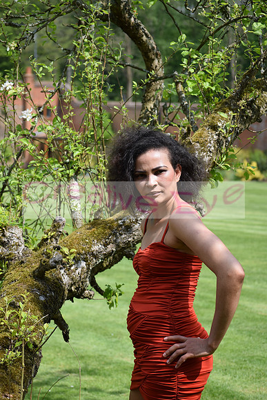 DSC_0348
