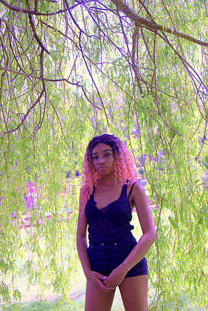 DSC04843