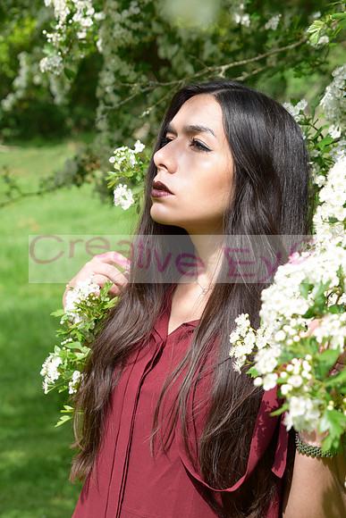 _DSC0442