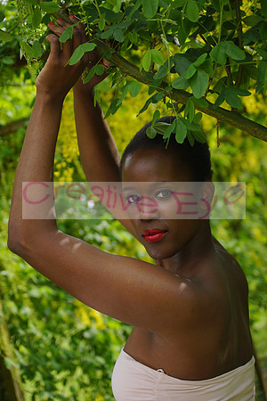 DSC05084(1)
