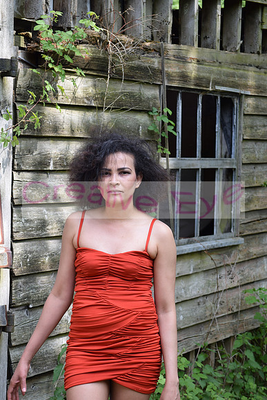 DSC_0391